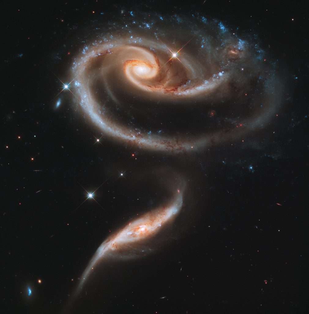 Gravity Distorted Galaxies